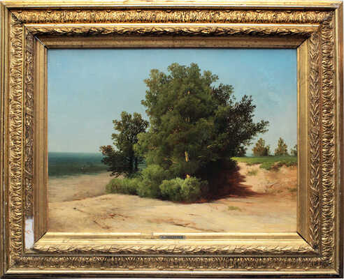 Мещерский Арсений Иванович. Сосны на берегу